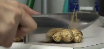 File:Ginger being knifed.png