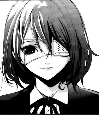 Plik:Meimanga.jpg