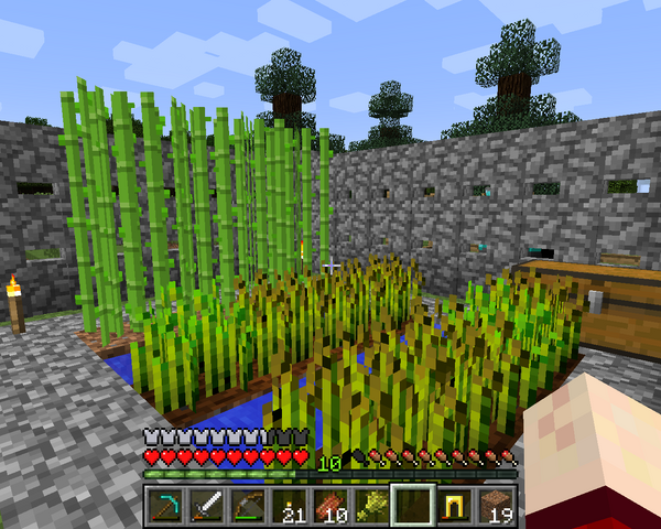 File:MariosFortFarm.png
