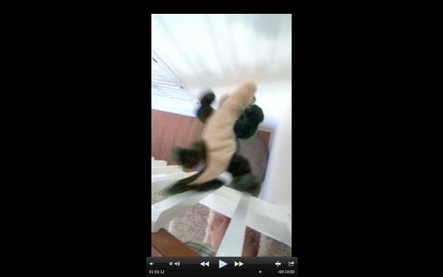 File:Screen Shot 2016-07-22 at 4.37.24 PM.png