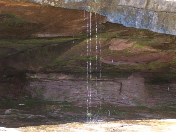 File:N56012550 34503235 2448.jpg