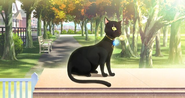 Plik:Chat-chapitre0.jpg