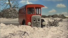 Bertie 7