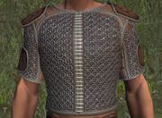 Grimherald Chestguard