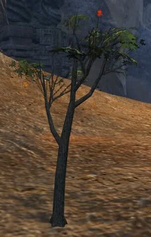 File:Tree of Death.jpg
