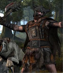VANIR FIGHTER