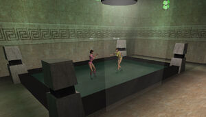 Girl fight