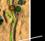 Thumbnail for version as of 03:02, August 7, 2006
