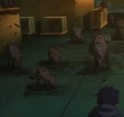 Ghouls.png
