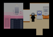 The wash room