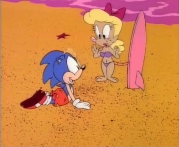 File:Miss possum's lookalike.jpg