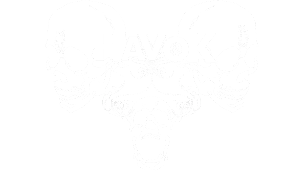 File:HAVOK.gif