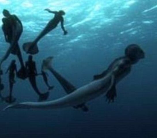File:Mermaids Swimming 2.jpeg