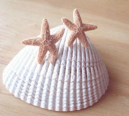 File:AQSTARFISH.jpg