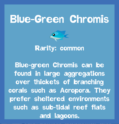 File:Fish2 Blue-Green Chromis.png