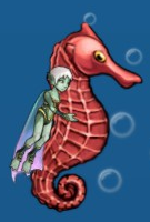 Fish big seahorse red