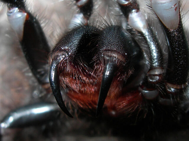 File:Picture 029.jpg