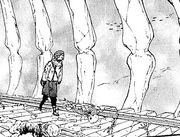 Hiruha's Past