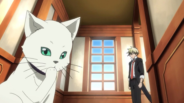 File:Ep2 Liberta spots Fran.png