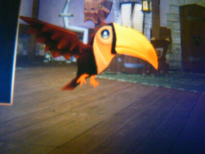 Pinfeathers 1