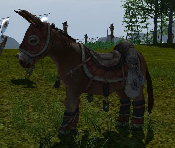 File:Donkey.jpg