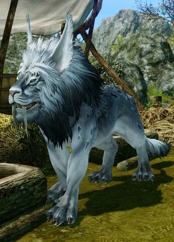 File:White snow lion.jpg