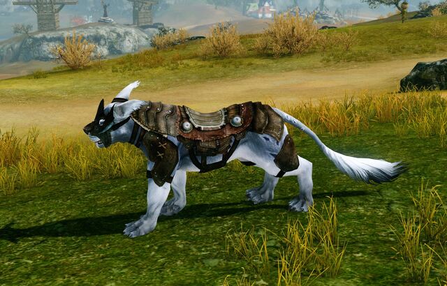 File:Pet armor.jpg