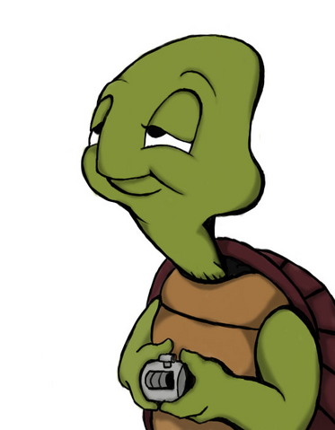 File:Timmy The Turtle 1.png