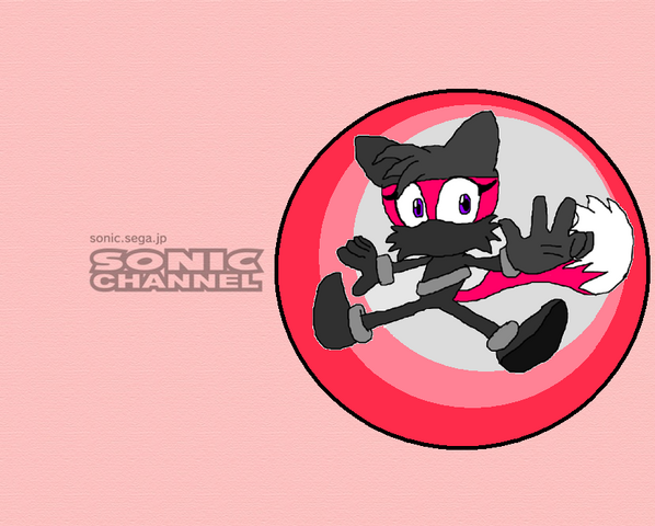 File:Sly in Sonic Channel.png