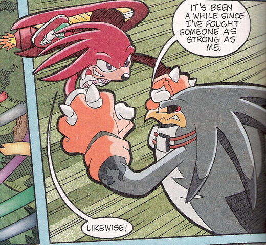File:Knuxvstorm.jpg