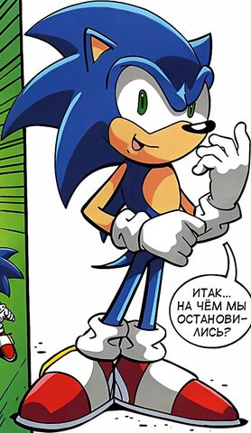File:Sonic X Sonic.jpg