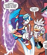 Sonic entering portal