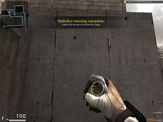 File:Grenade ingame.jpg