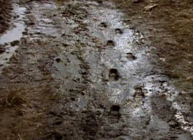 File:6frozenghostfootprints.png