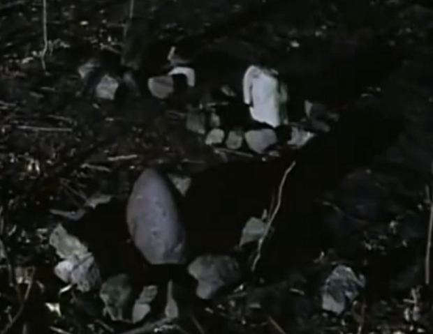 File:1watcherswoods.png