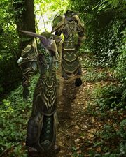 Woods3
