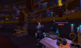 WoWScrnShot 021510 130020