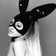 Ariana bunnyyyy