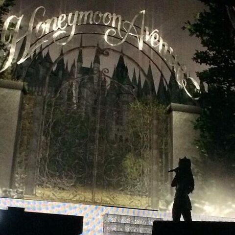 File:Honeymoon Tour 21.jpg