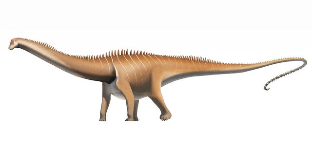 File:Diplodocus carnegii.jpg