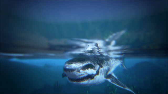 File:ARK-Megalodon Screenshot 008.jpg
