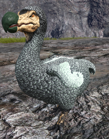 File:471px-Dodo asig.png