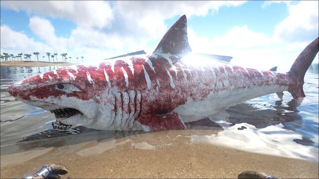 File:800px-Megalodon PaintRegion0.jpg