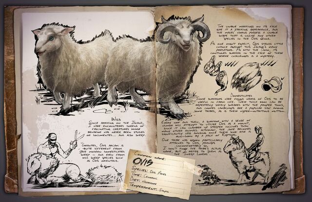 File:800px-Dossier Ovis.jpg