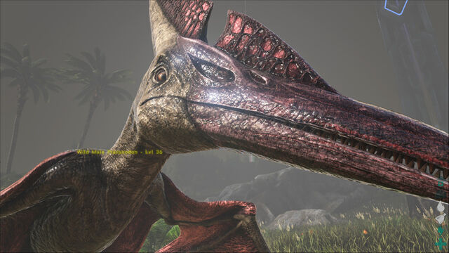 File:ARK-Pteranodon Screenshot 002.jpg