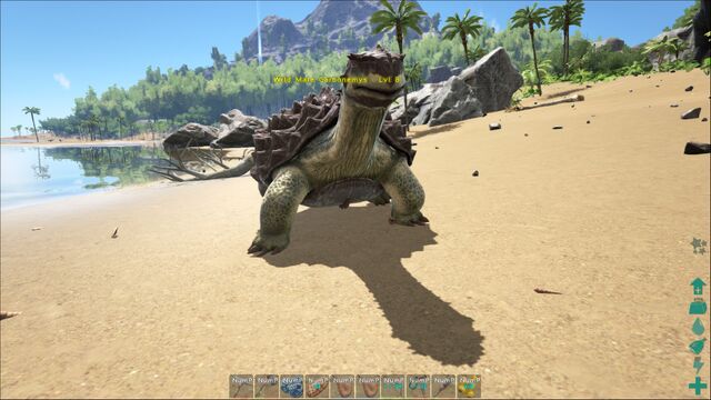 File:ARK-Carbonemys Screenshot 002.jpg