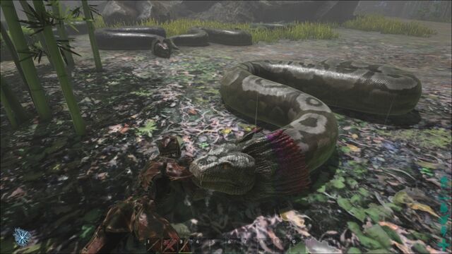 File:ARK-Titanoboa Screenshot 010.jpg