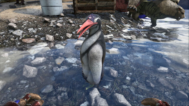 File:ARK-Kairuku Screenshot 003.jpg