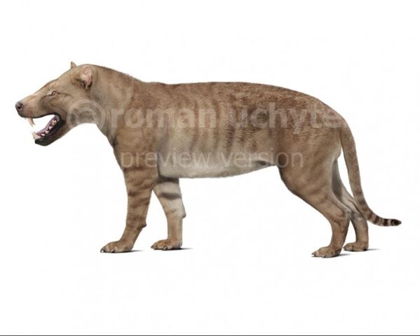 File:Hyaenodon-gigas-white-738x591.jpg