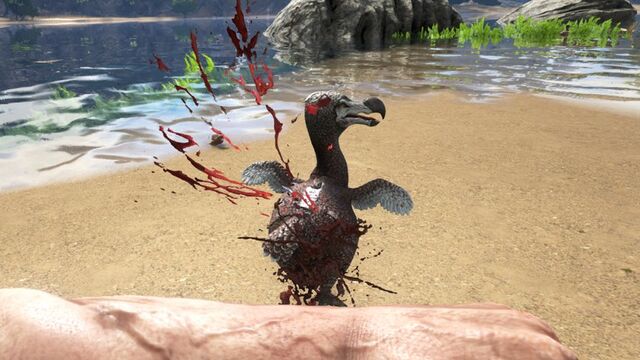 File:ARK-Dodo Screenshot 002.jpg